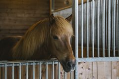 Praxisworkshop im LZH Therapiestall